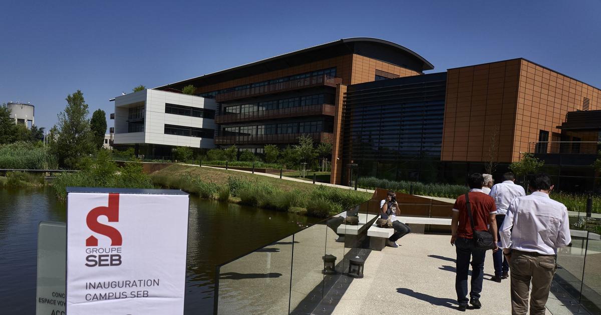 Action Seb Conseil action – SEB: l’effet de levier de la croissance sur les marges ...
