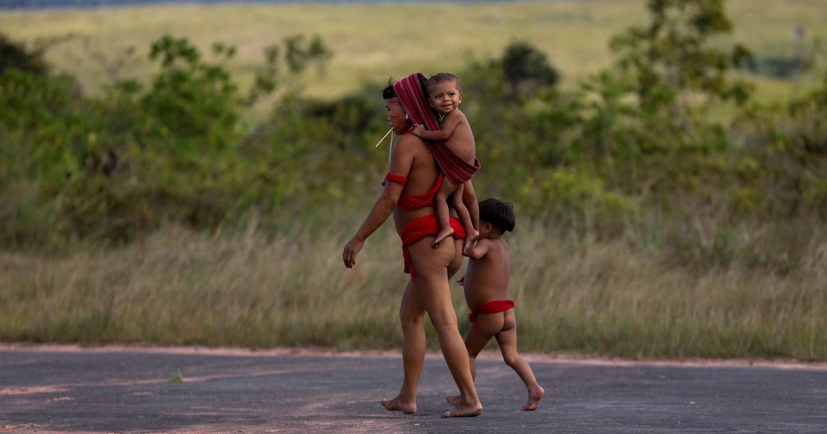 No Brasil, o desamparo de Lula diante da provação dos Yanomamis