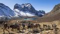 Diaporama : Chine, une caravane vers le Shangri-la