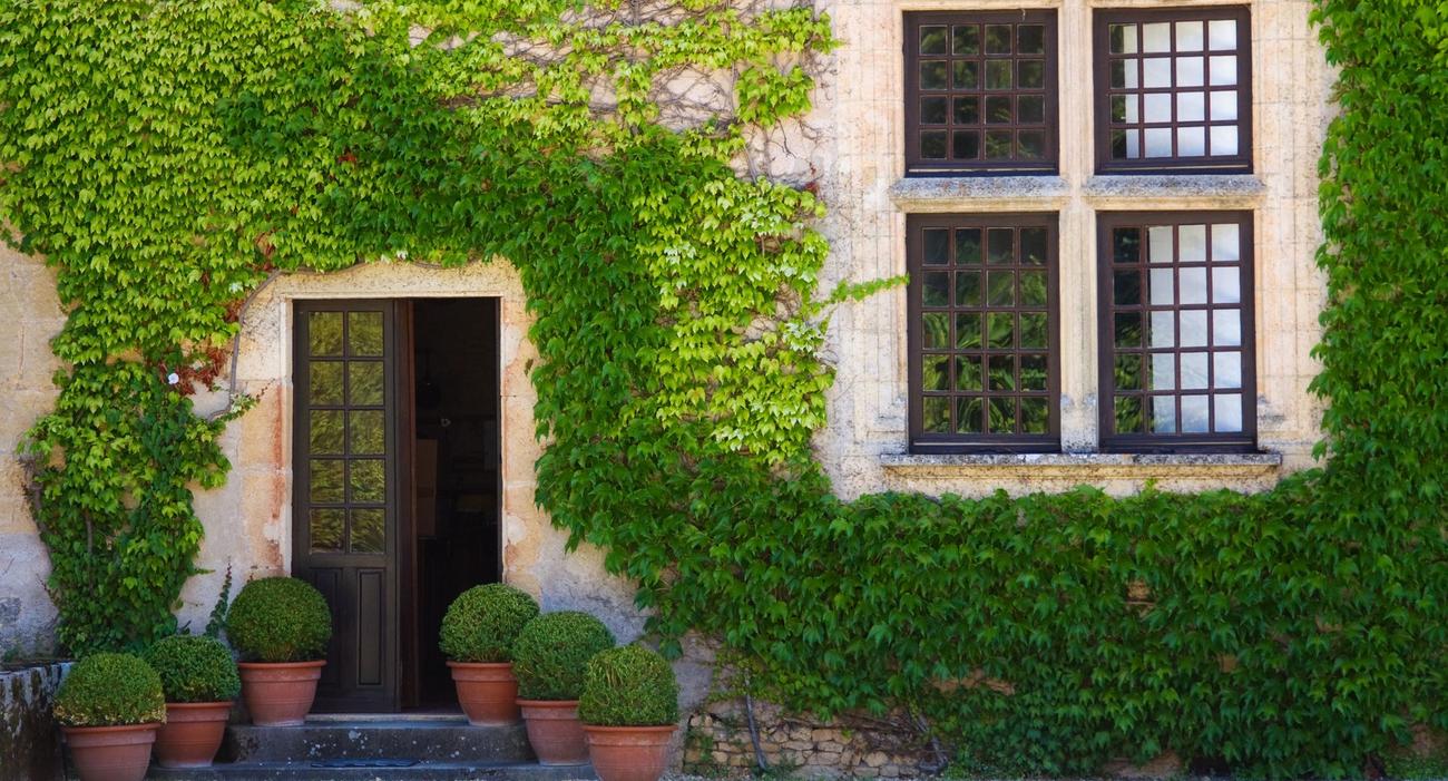 Une maison couverte de lierre photographiée en Dordogne.