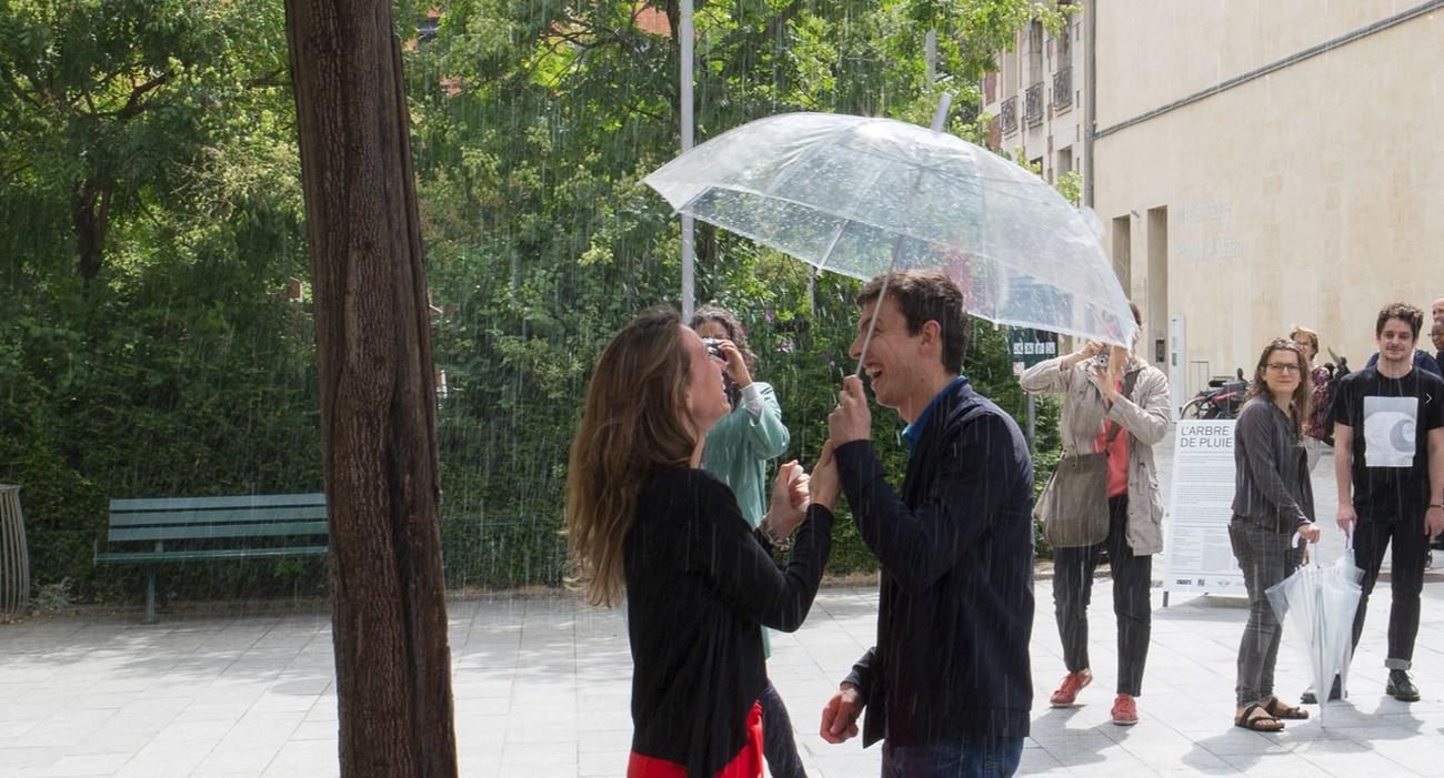 L’arbre à pluie expérimenté l’an dernier, dans un square du Xe arrondissement de Paris.