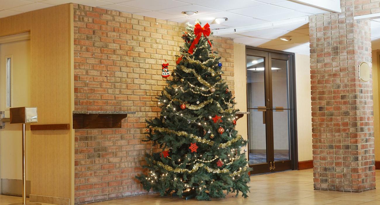 Les sapins de Noël peuvent être une source de conflits entre copropriétaires d’un immeuble sans gardien.