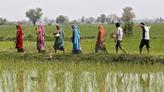 En Inde, les débuts prometteurs de l’assurance-canicule