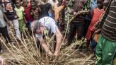 Tony Rinaudo, l’agronome qui a passé 40 ans de sa vie à ressusciter des arbres dans le désert