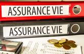 Assurance vie : les anciens contrats rapportent moins que les nouveaux 