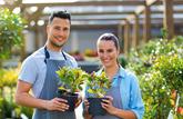 Travail en couple : quel statut pour le conjoint ? 