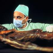 Ötzi, l’homme des glaces, entre merveille et mystère