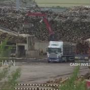 Programme TV : Cash Investigation passe l’industrie du bois sur le gril sur France 2