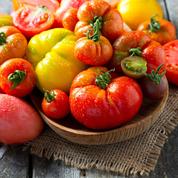 Tomates, salades: semez des variétés résistantes aux maladies