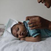 Zika : le début de la grossesse est une période à risque