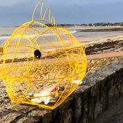 En Bretagne, un poisson-poubelle pour préserver les océans