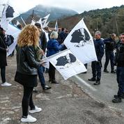 À Bastia, l’opération «Isula Morta» ne mobilise pas tout le monde