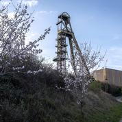 Plusieurs enfants contaminés à l’arsenic à proximité d’une ancienne mine dans l’Aude