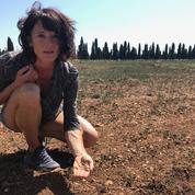 Sécheresse dans le Gard: «Nous piochons depuis juin dans les réserves de fourrage»