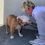 Aaron Carter sous le feu des critiques pour avoir voulu revendre 3000$ un chien adopté en refuge