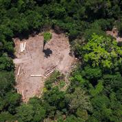 L’Amazonie dans le viseur de Bolsonaro