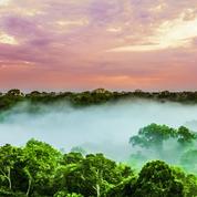 L’Amazonie, «poumon de la planète» en détresse