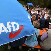 Allemagne: l’AfD se divise entre radicaux et pragmatiques