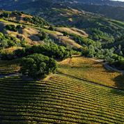 Dans les vallées de Napa et Sonoma, sur la route des vins français de Californie