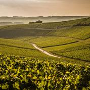 Vignobles: Chablis menacé de perdre l’appellation Bourgogne