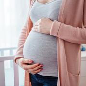 Chantal Delsol: «Questions autour de l’interruption médicale de grossesse pour “détresse psychosociale”»