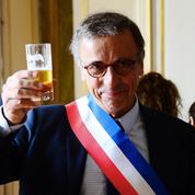 Interdiction du sapin de Noël: «Le maire de Bordeaux traite de “facho” quiconque s’oppose à lui»