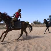 Au Sénégal, les enfants jockeys de la savane
