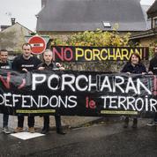 «No Porcharan»: un village rejette une porcherie industrielle