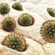 Covid-19: une mutation du virus très surveillée