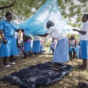La lutte contre le paludisme en panne