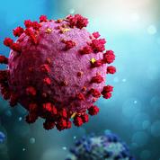 Les mutations du coronavirus font l’objet d’une traque permanente
