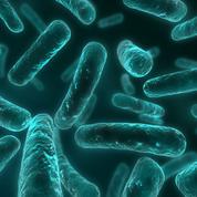 Immunothérapie: de l’extrême importance du microbiote