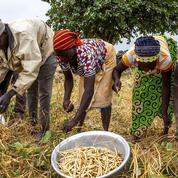 Les petits producteurs agricoles, acteurs essentiels pour nourrir la planète