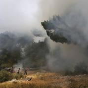 Liban: l’une des plus anciennes forêts du pays ravagée par le feu