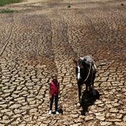 Au Brésil, une sécheresse historique plombe la reprise