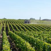 Pesticides: première étude sur l’exposition des riverains proches des vignes