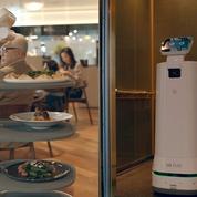 Quand les robots deviennent auxiliaires de vie, serveurs, ou aides ménagères