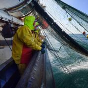 Pêche industrielle: la menace néerlandaise