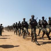 Au Mozambique, l’armée à l’offensive contre les djihadistes