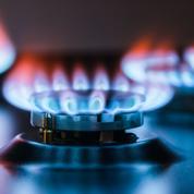 La demande de gaz reculera cette année en Europe