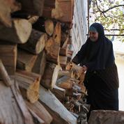 Liban: le pays du Cèdre brûle ses bois pour se chauffer