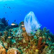 Grèce: le fléau des déchets plastiques dans la Méditerranée
