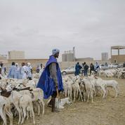 La Mauritanie désigne l’armée malienne après la mort d’une quinzaine de civils