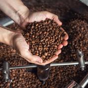L’essor du café en grain met à mal l’hégémonie des dosettes