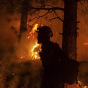 Climat: des incendies de plus en plus fréquents et intenses en forêt