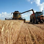 Guerre en Ukraine: la France veut doper la production de blé