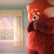 Alerte rouge   sur Disney +: comment le panda roux est devenu le symbole de l’adolescence