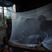 Une nouvelle moustiquaire efficace contre le paludisme