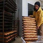 À Tunis, il faut du temps et de l’argent pour du pain