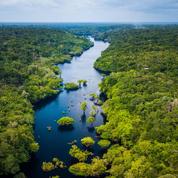 L’Amazonie est-elle menacée de disparition?